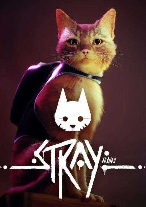 Stray (Steam pre-order)