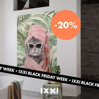Black Friday Deals IXXI