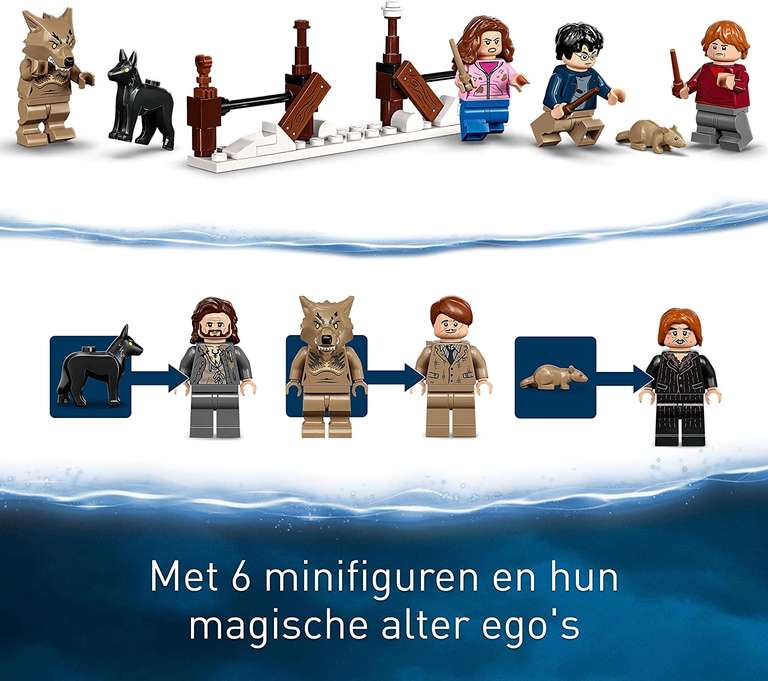 LEGO Harry Potter - Het Krijsende Krot & De Beukwilg (76407)