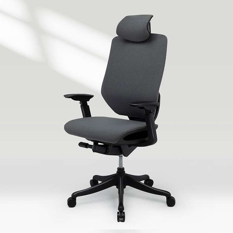 Flexispot BS12 Pro ergonomische bureaustoel met €200 korting voor €299 @ Flexispot