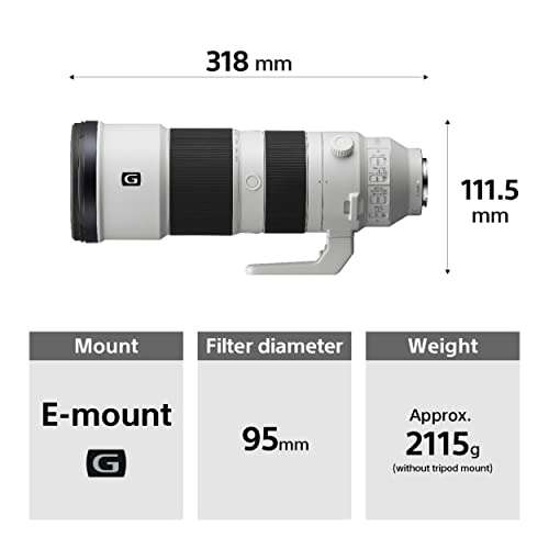 Sony FE 200-600 mm f/5.6-6.3 G OSS objectief E-mount