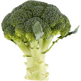 500 gram Broccoli vanaf €1