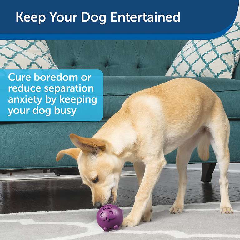 PetSafe Busy Buddy hondenspeelgoed vulbare snackbal voor €3,49 @ Amazon NL