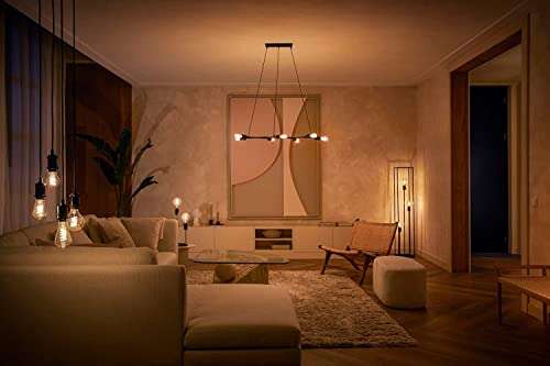 Philips Hue - Warmwit (flame) E27 Filament lamp A60 550lm