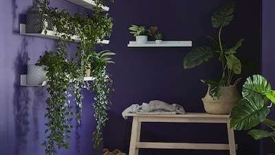 IKEA Kunstplanten: 3+1 gratis +extra voordeel door verlaagde prijzen