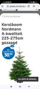 Praxis *Assen. Nordmann 2,75 m voor 15 euro