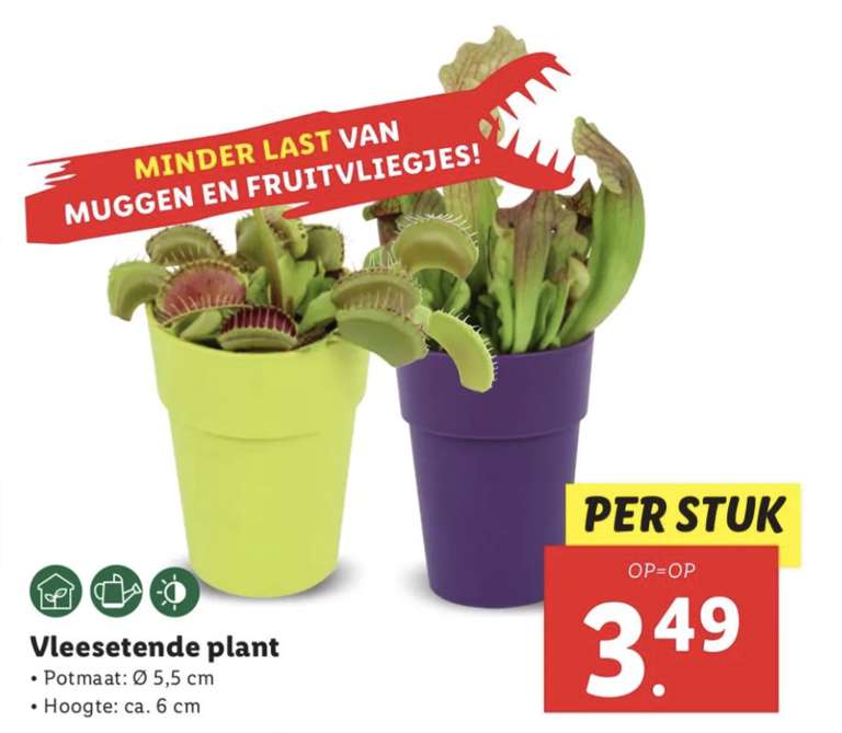 Vleesetende plant voor €3,49 @Lidl