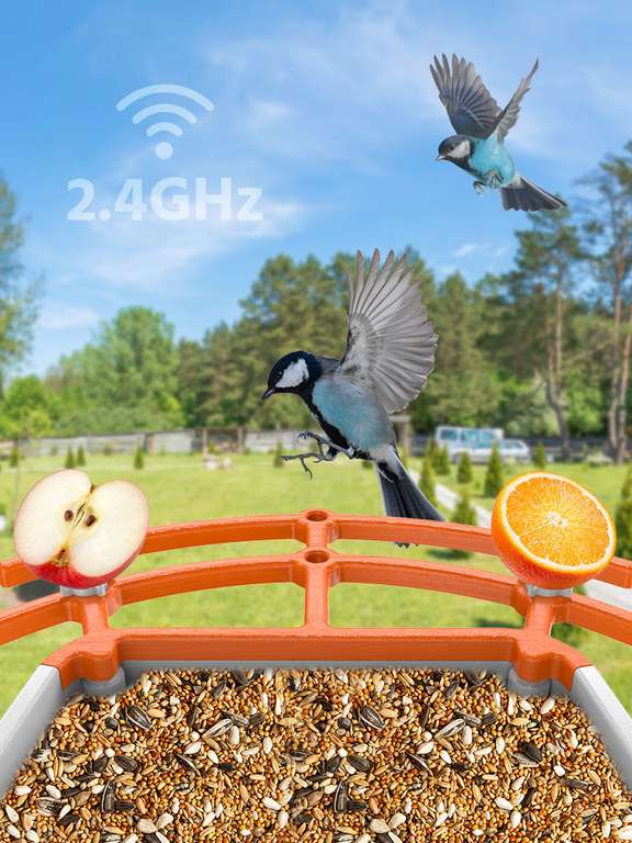 Annke Smart vogel voeder huisje met camera en AI @ Annke