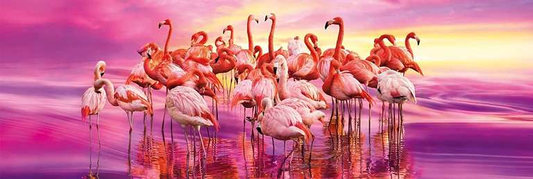 Clementoni panorama legpuzzel 1000 stukjes flamingo's voor €4,99 @ Amazon NL