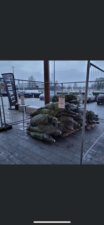 [lokaal] Gratis kerstboom @ Karwei Harderwijk