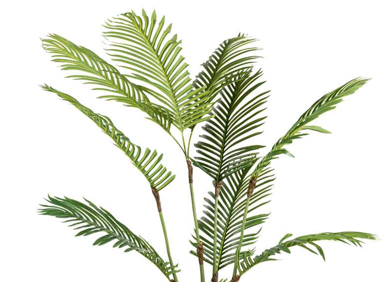 Livarno Home 190cm kunstplant Palm van €54,99 voor €27,99 @ Lidl webshop
