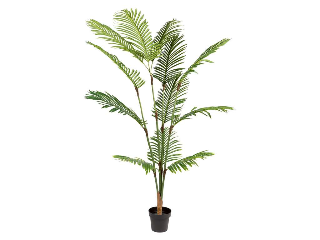 €27,99 190cm Home @ webshop van €54,99 voor kunstplant Livarno Palm Lidl