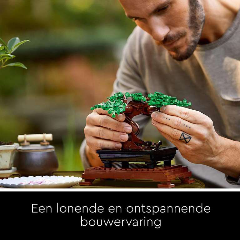 LEGO bonsaiboompje €32,99 Amazon