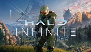 Halo infinite campaign PC (Steam)