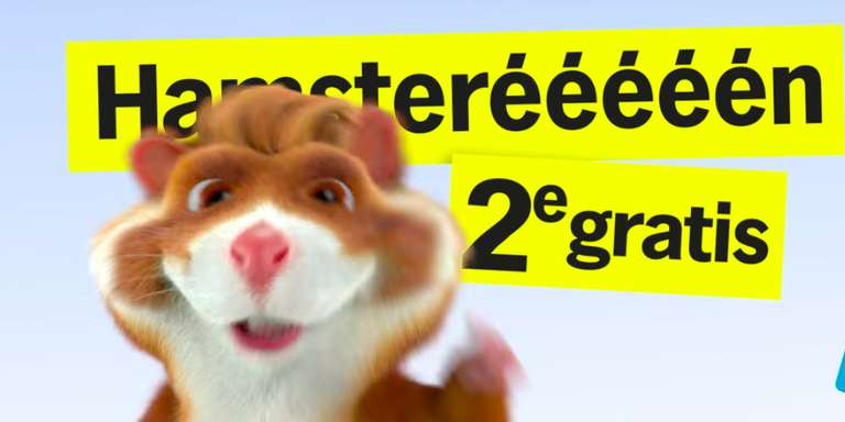 1+1 Gratis of 50% Korting Hamsteren @ Albert Heijn