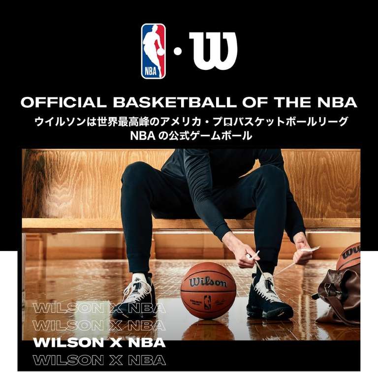 Wilson Evolution basketbal
