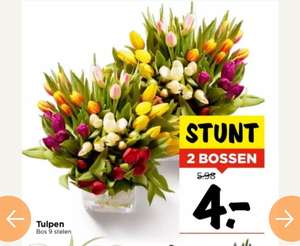 VOMAR - 2 bossen tulpen voor €4,00