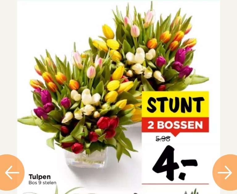 VOMAR - 2 bossen tulpen voor €4,00