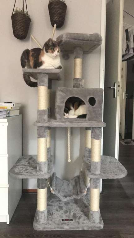 FEANDREA 154cm hoge kattenkrabpaal voor €59,99 @ Amazon NL