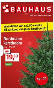 Kerstboom Bauhaus €12,50 tegoedkaart bij aankoop van een kerstboom