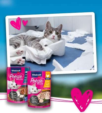 Ontvang een GRATIS proefpakketje Vitakraft Poésie Délice kattenvoeding