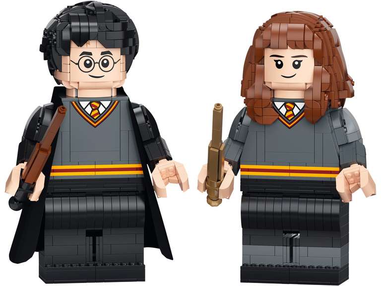 LEGO 76393 Harry Potter & Hermelien