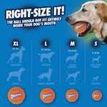 [12 stuks] Chuckit tennisballen voor honden (maat M) voor €14,95 incl. verzending @ iBOOD
