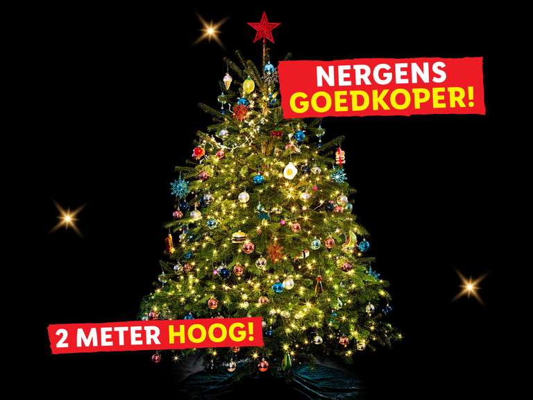 Nordmann kerstboom - 2 meter hoog @ Lidl