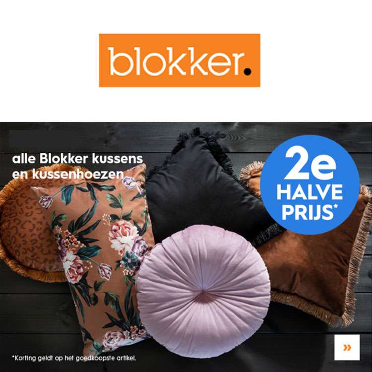 dwaas Verspreiding Eigendom Blokker: alle kussens & -hoesjes 2e halve prijs - Pepper.com