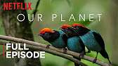 Gratis Educatieve documentaires Netflix op YouTube