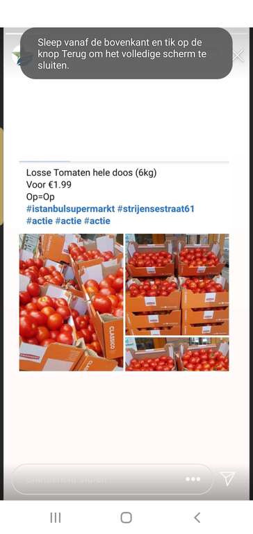 Lokaal rotterdam istanbul supermarkt 6 kilo tomaten 1.99