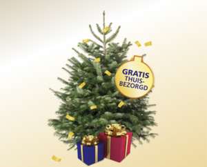 Gratis Nordmann Kerstboom bij de BankGiro Loterij