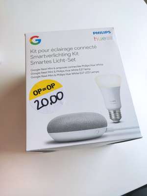 AH Google Nest Mini + Philips Hue wit (lokaal)