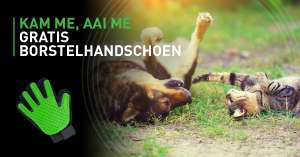 (ENKEL BELGIË) Gratis vachtverzorging handschoen hond/kat