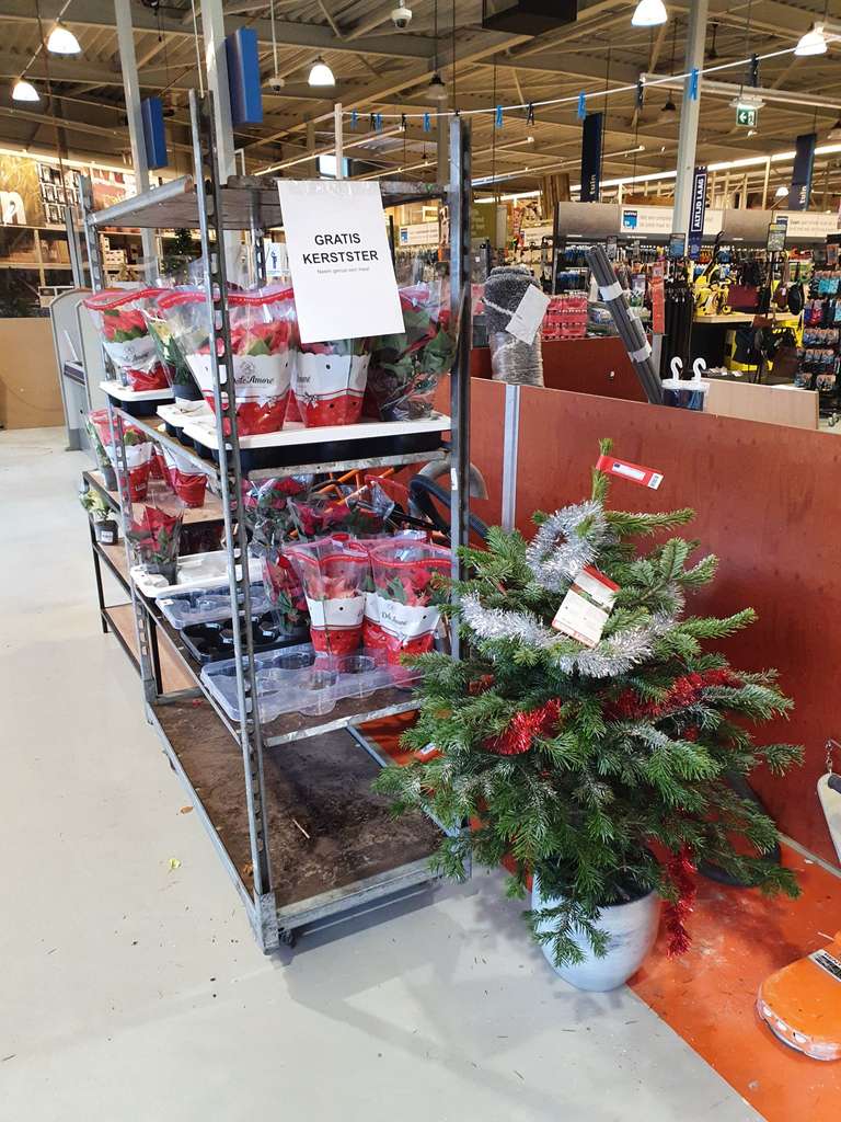 Gratis Kerstboom en Kerstster (Lokaal?) Gamma Heerlen Woonboulevard