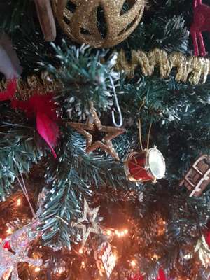 Gratis kerstbomen en kersttakken @Welkoop silvolde