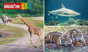 Gehele dag entree voor Burgers' Zoo voor € 16