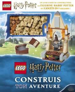 Lego Harry Potter boek met Lego stenen in het Frans: Build your own adventure