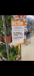 Planten 50% korting - lokaal Gamma Alphen aan den Rijn