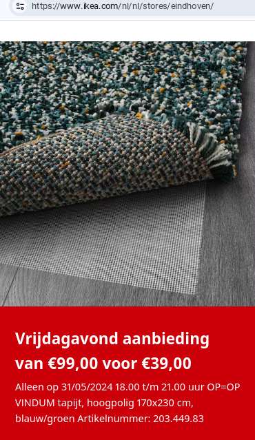 Ikea Eindhoven: Hoogpolig Vloerkleed blauw/groen