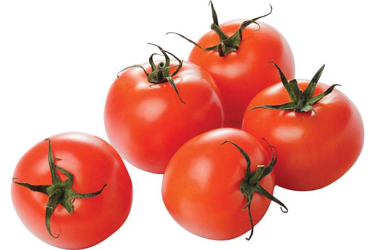 13.000 kilo tomaten gratis op te halen in Bergen op Zoom