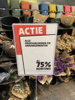 75% korting op droogbloemen bij Intratuin Staphorst