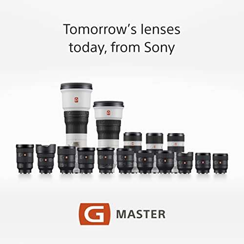Sony SEL-2470GM G Master Zoom Lens