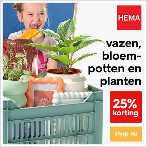 25% korting op potten, vazen en (kunst)planten @ Hema