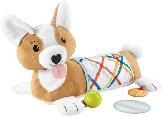 Fisher-Price 3-in-1 Puppy Tummy Wedge [SELECT]