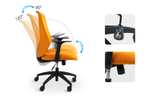 BackSupport bureaustoel BS9 voor €139,99 ipv €199,99 @ Flexispot
