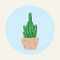 Cactus.'s avatar