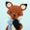 FoxyD's avatar