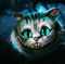 Cheshire_Cat's avatar